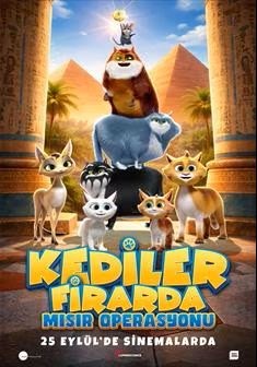 KEDİLER FİRARDA: MISIR OPERASYONU